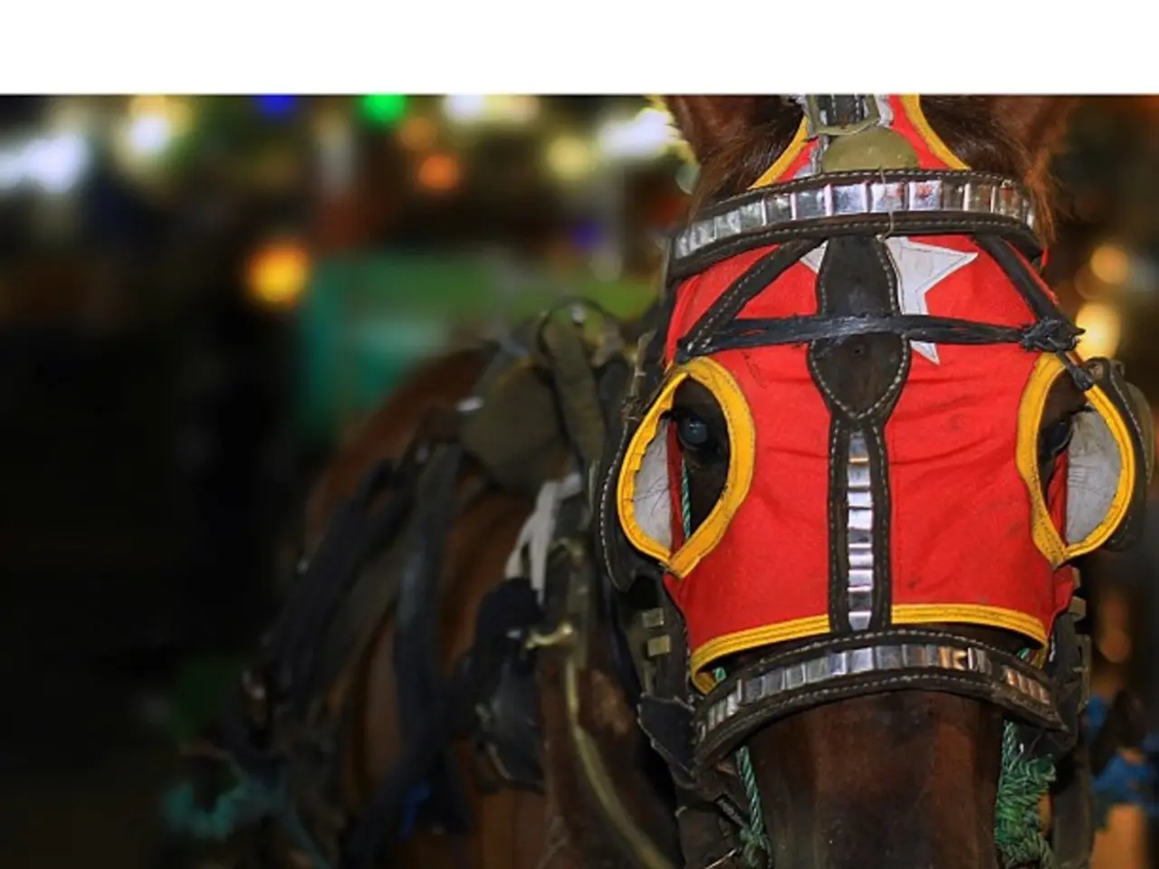 Problematic premises: filthy driveway, obstructive blocks, faulty elevator – exploring App...