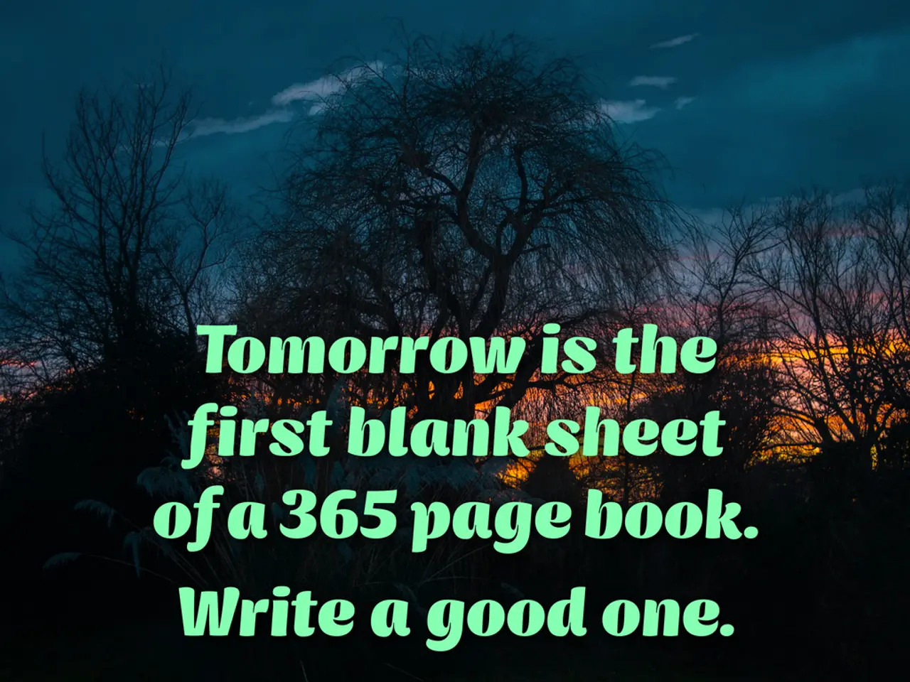 Algorithm Insights: A Look into the Intelligence Behind the Code