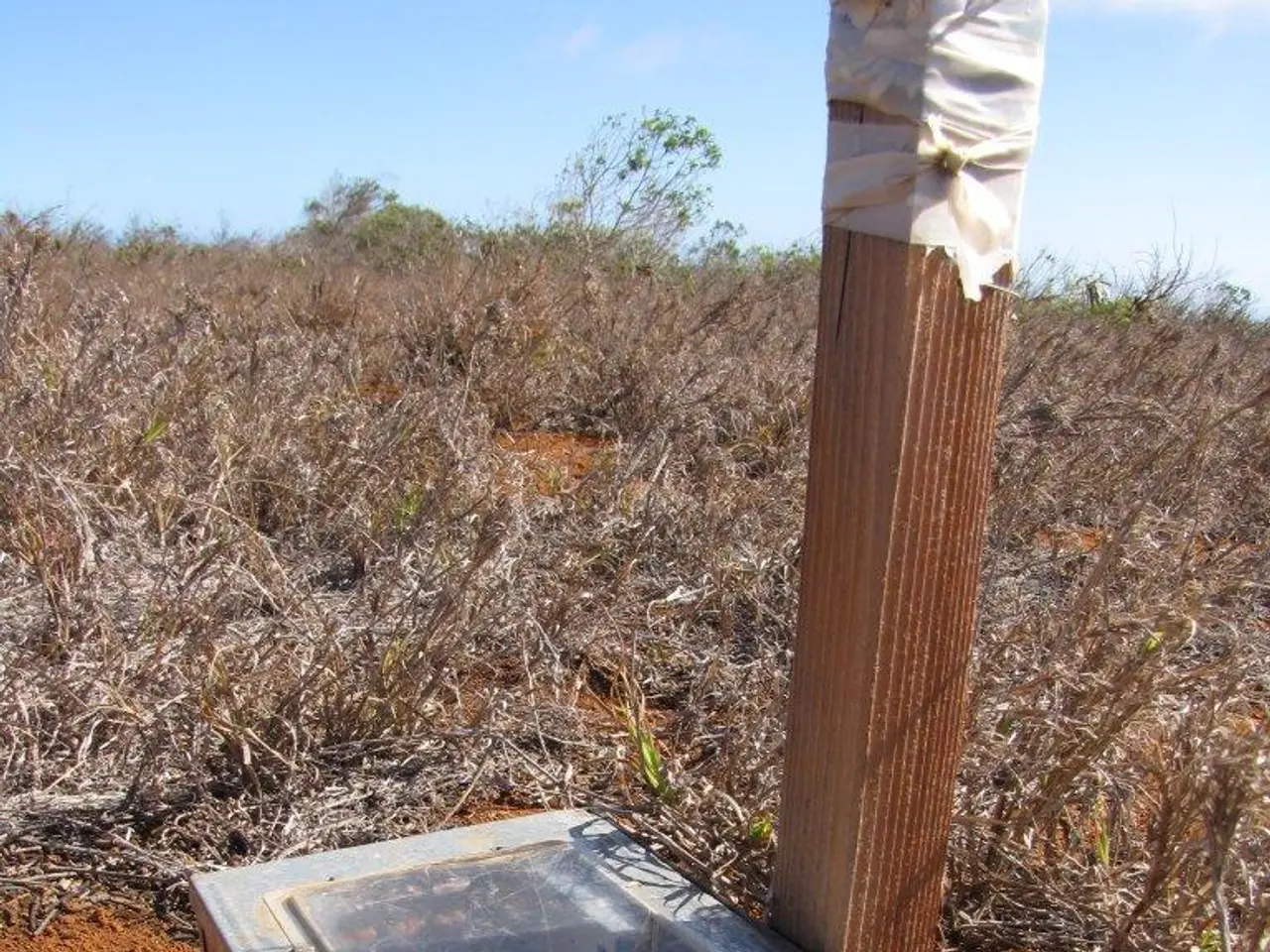 Investigating the Interplay of Earth's Magnetic Force - Insights into Our Defensive Barrier