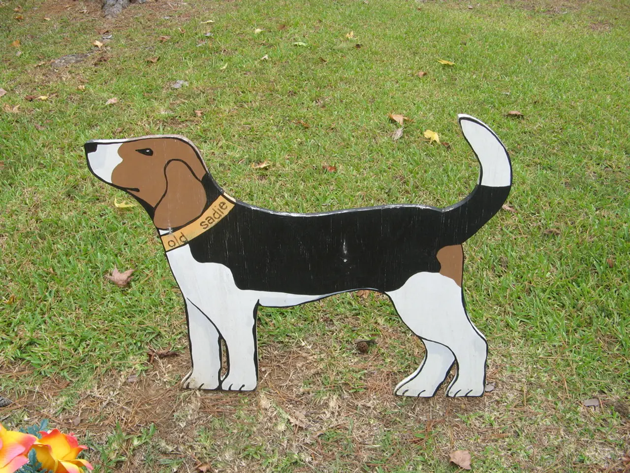 Large Increase Potential for Dogecoin? Analyst Predicts 111% Surge Despite Persistent Selling