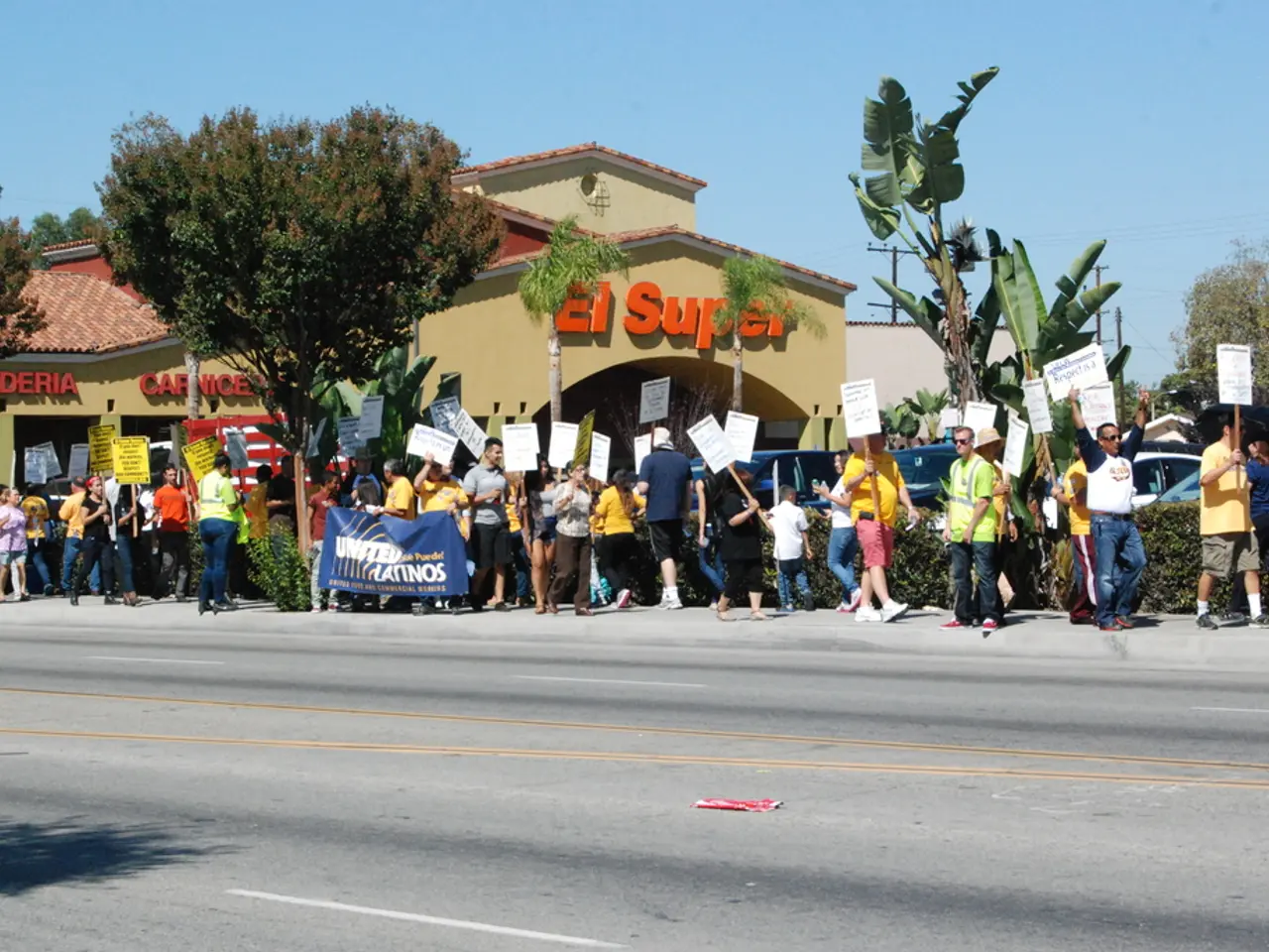 Election results faced disruptions due to a server being overwhelmed