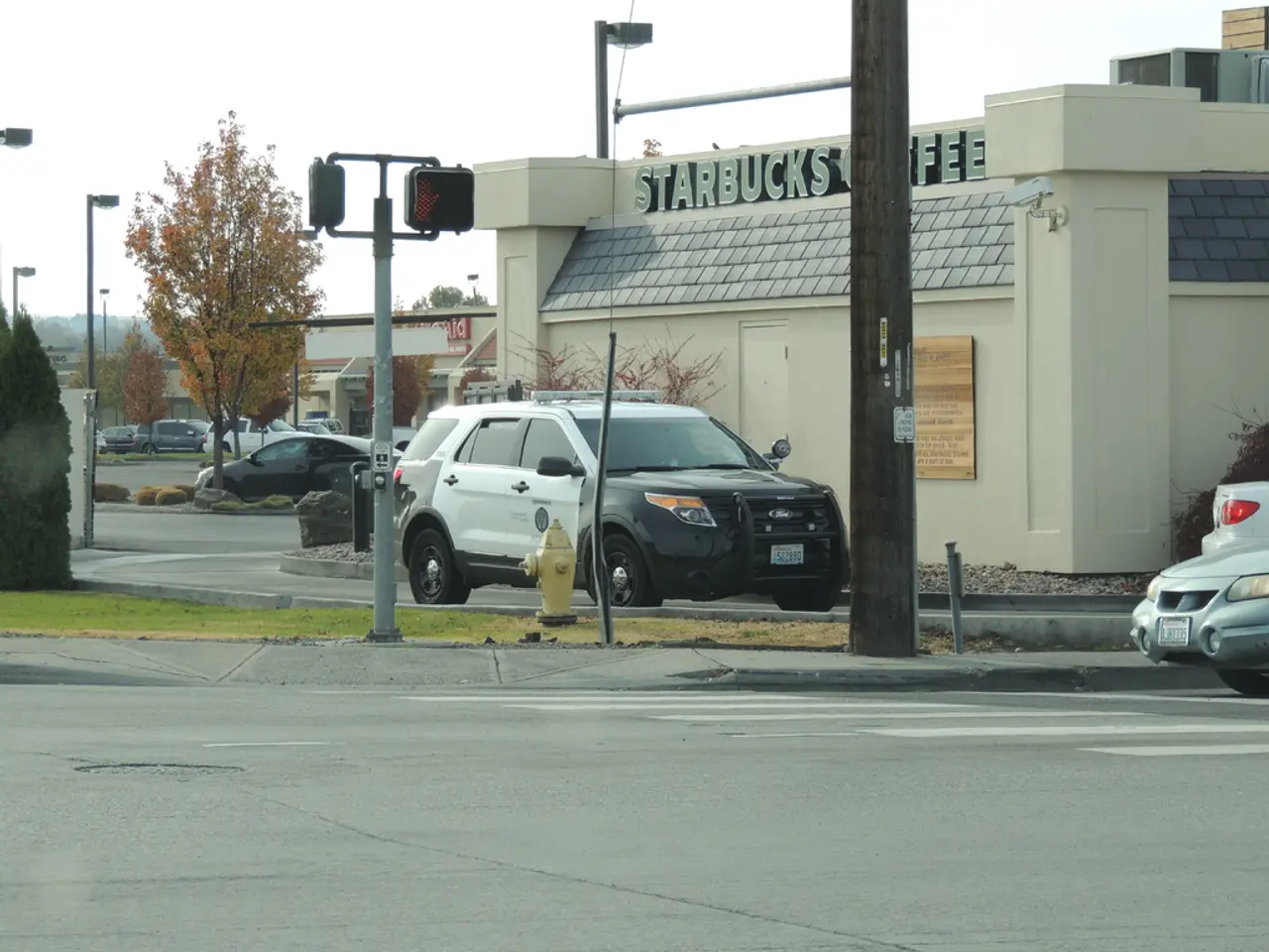 In this image there are a few vehicles on the road, few buildings, streetlights and a board...