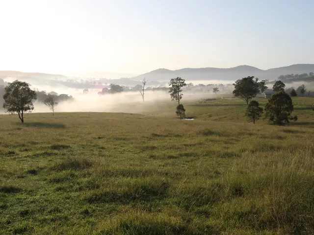 3D Graphics specialists have formulated a GPU-operated procedural method to synthesize an...