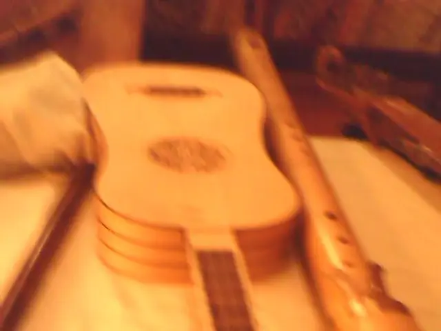 "Paul Reed Smith shared that he remarked, 'Ted, the inside of the horn sports a maple cap,' to...