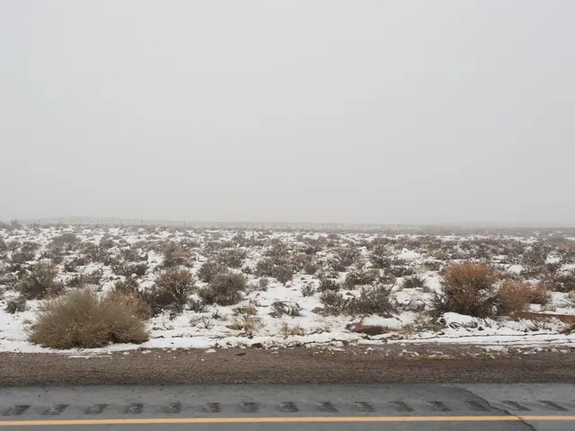 ICEYE and SATIM collaborate for the development of AI-enhanced SAR imagery analysis goods