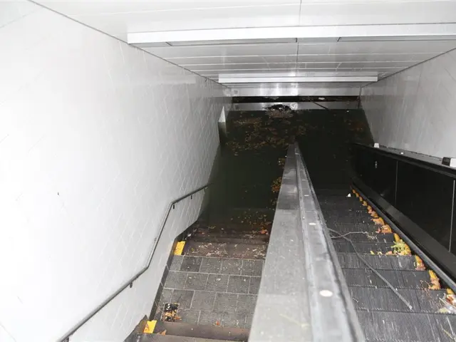 A retrospective on escalators: a thrilling journey lasting mere moments over the past century
