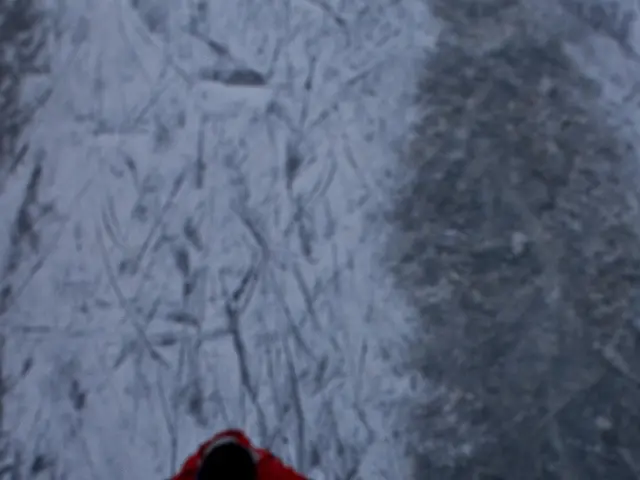 Discounted Salomon trail running shell, rated exceptionally well by our specialist, touted as both...