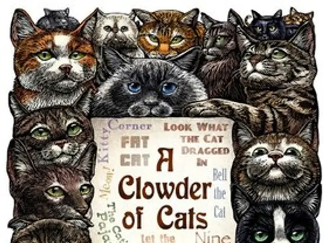 Data from NHDPlus Upper Mississippi Region (Vector Processing Unit 7)