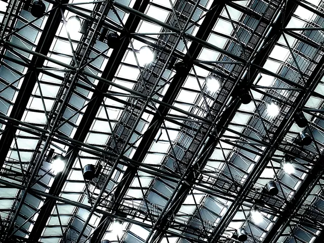 Stray Elephant Causes Property Damage from Above