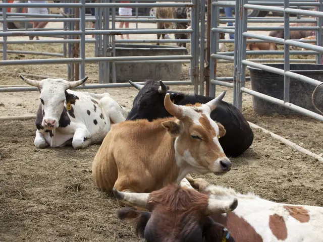 Increase in CoW Protocol by 23% due to accumulation of liquidity at $0.45 - Future prospects...