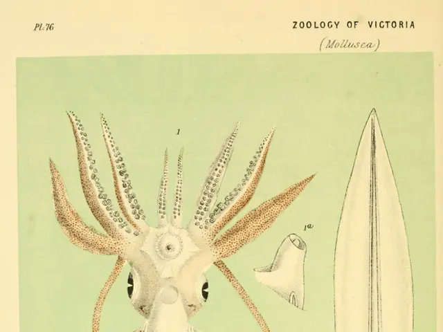 The advancement of quantum science signifies a monumental stride for mankind. Let's explore its...