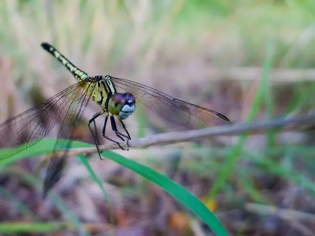 Chinese hacking units reportedly responsible for continuous SharePoint server intrusions, as...