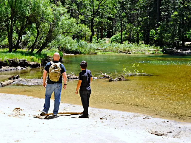 Technology Giants and Financial Institutions Lock Horns: The Artificial Intelligence-Driven Open...