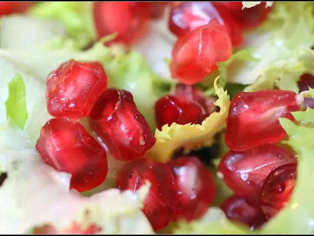 Reusable, Eco-friendly Compartment for Possum Trap Bait