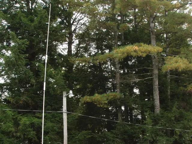 Solar power on the go: Comprehensive guide to caravan solar systems