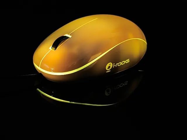 Unveiling the Beginning of Dead Mouse Adventures