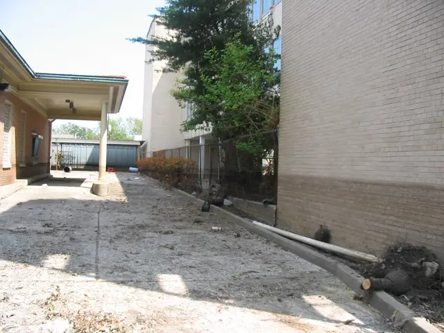 Mastering the Art of Harnessing Network Potential