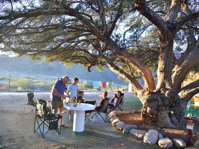 Instructions for Installing OpenLDAP on Ubuntu 24.04 LTS System