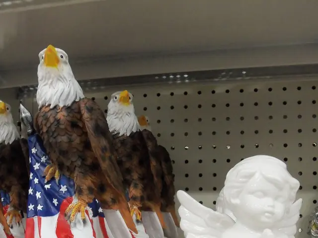 Time-bound quests honoring Donkey Kong Bananza make a dynamic entry into Super Mario Run