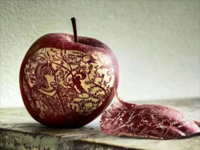 Collaborating with a Digital Product Design Firm Elevates Your Business through Creativity