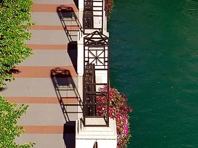 Four-Year Financing Offer: Solar-Powered Balcony Plant by Anchor Solar Bank - Reclaim Your...