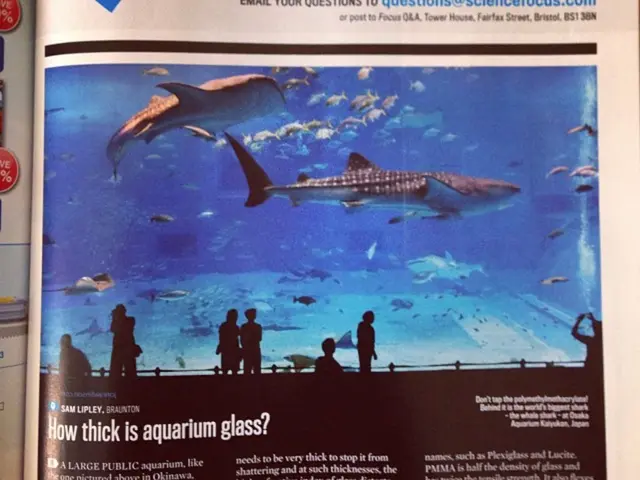 Exploring Tomorrow: Grouping Patterns Within Large-Scale Language Models (Language Models)