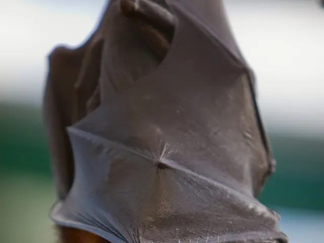 In C programming, the `and` operator is denoted by `&&` and the `or` operator is denoted by `||`....