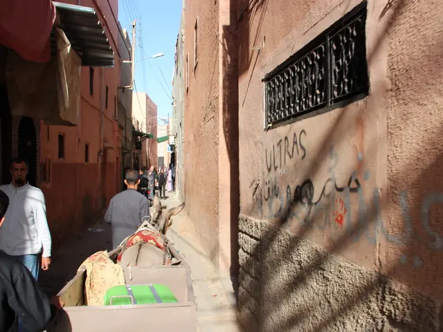 Space undertakings in Aotearoa New Zealand - an overview