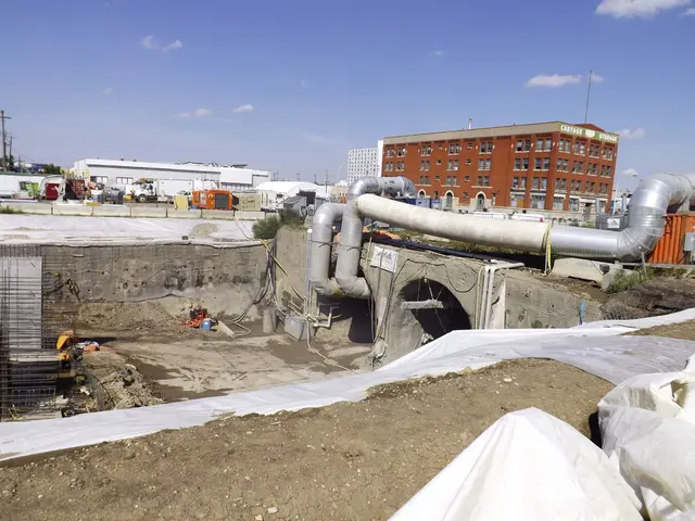 Cybersecurity authorities appointed by the White House and CISA continue to be identified as part...