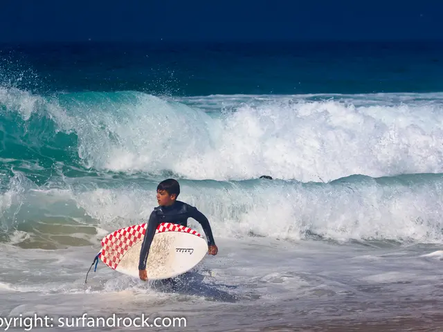 Purchasing Waves: A 4-Step Guide (August 2025) - Detailed instructions on acquiring digital...