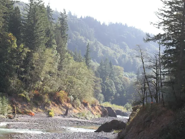 "Hugging Face's defaults should suffice for traditional image classification tasks"