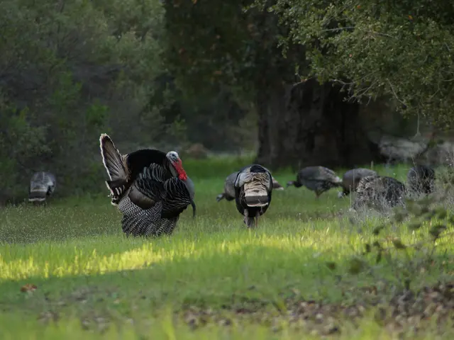 Syria's Economy Minister Heads to Turkey for Pivotal Discussions on Trade and Reconstruction