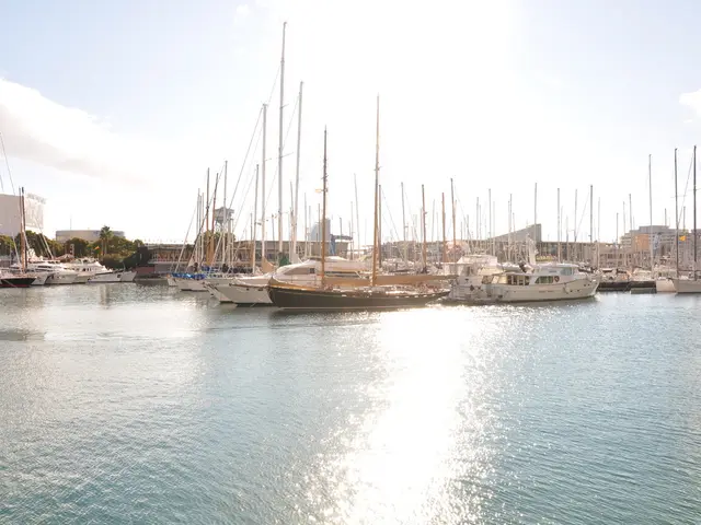 IT initiative in Kamchatka to establish tech-focused education hub for students