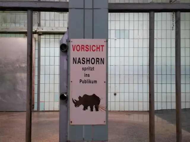 Decentralized Prover Network Makes Its Mainnet Debut: Succinct Leads the Way