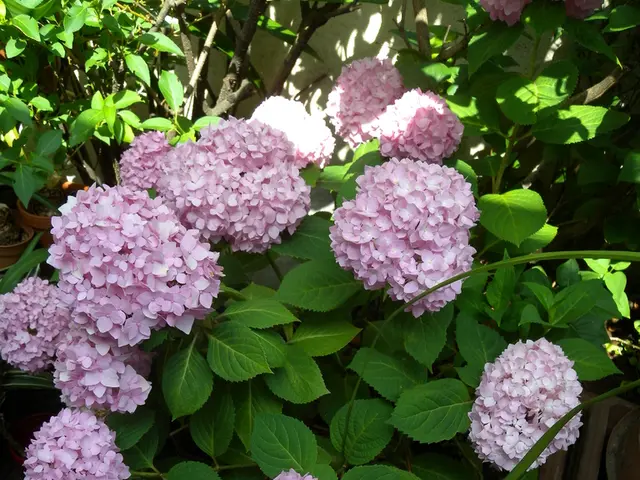 Enhancements to Grounded 2's stability have reportedly improved performance by approximately...