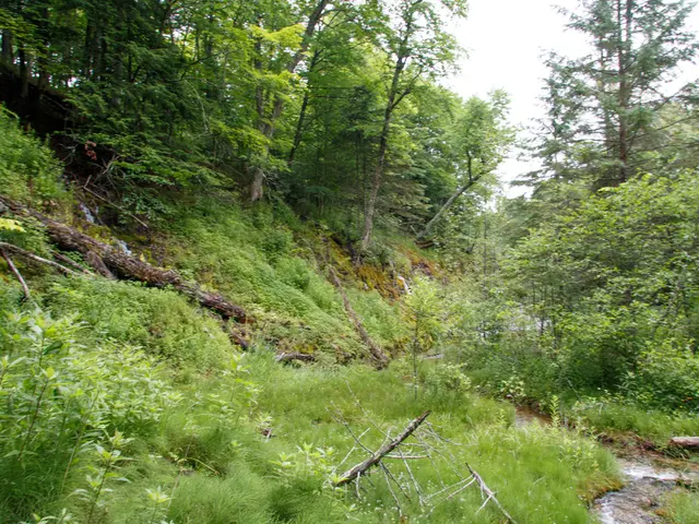 Developing Models for Land Cover Classification Analysis