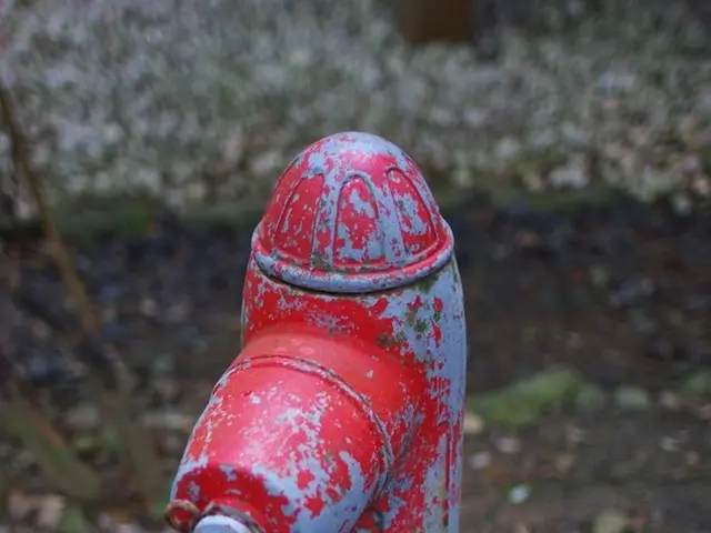 Data Engineering Strategy: Crafting Data Streams for Data Scientists and ML Engineers