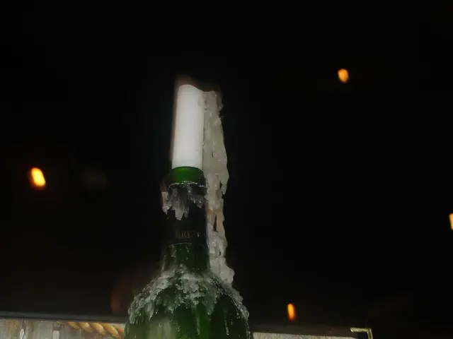 Guide for Adding a Gift Card to PayPal in 5 Simple Steps