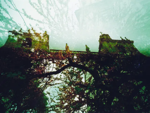 Sneak peek at WOY26: Day sailer boasts eco-friendly design unveiled for public viewing