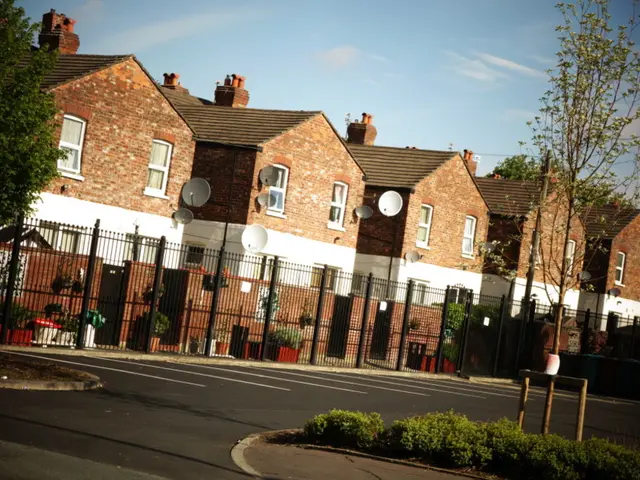 Marlene de Bank argues that launching numerous satellites for internet access is unsustainable