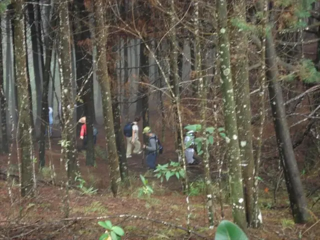 Struggling SAP users falling behind in their usage