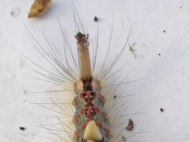 World Transformation through Pervasive Sensing: smart dust revolutionizing detection capabilities...