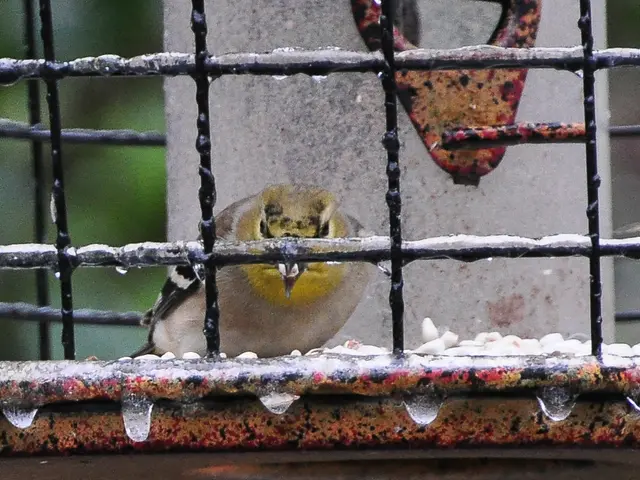 Decrease in Bitcoin ETF Investments by 80%: Imminent Major Adjustment?