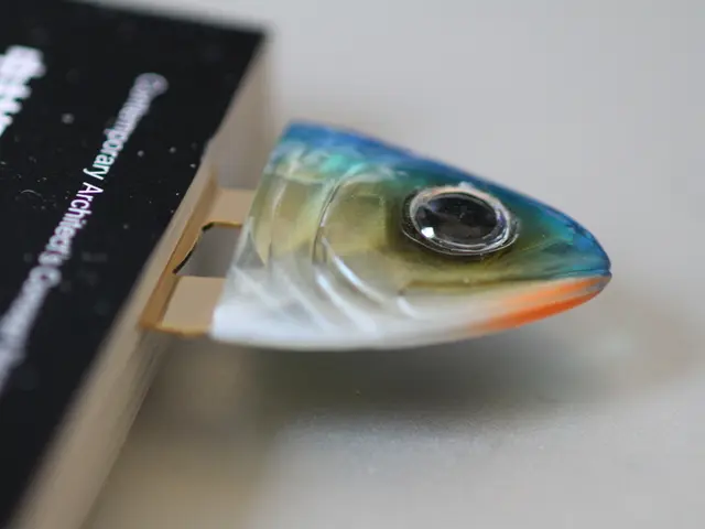 Cosmic Leader - Extreme Realm of the Cosmos