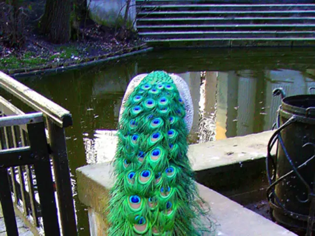 Improved Quantum Computing Shares: Comparing Nvidia vs. IonQ