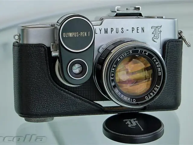 A Critical Analysis of the Olympus OM-D E-M1 Mark III Camera