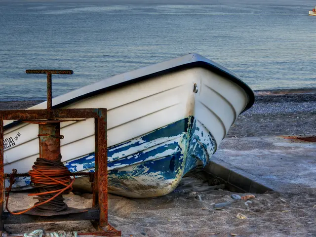 Metals Company's Shares Continue to Climb Today