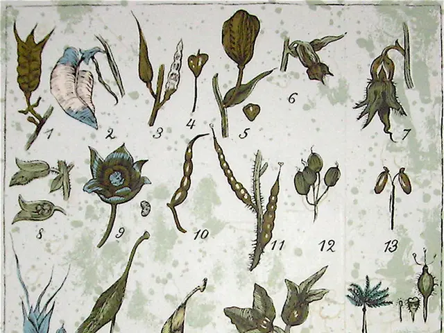 Merging plant genetics with microbial genetics is a key focus in the second generation of gene...