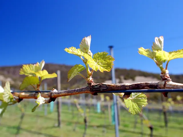 Strategies to Fortify Your System Against Ransomware Intrusions (7 Methods)