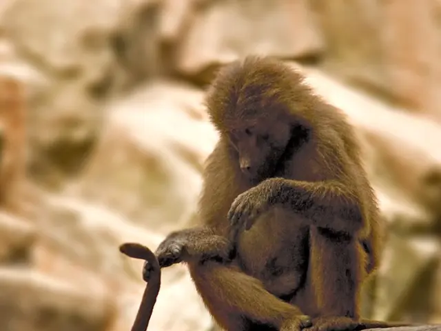 Developing Nigeria's digital economy: Constructing a digital payments infrastructure